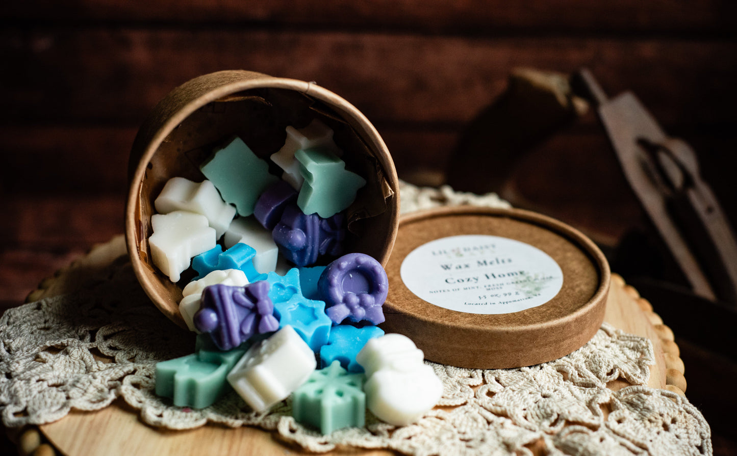 Cozy Home Wax Melts Lil Daisy Soaps 