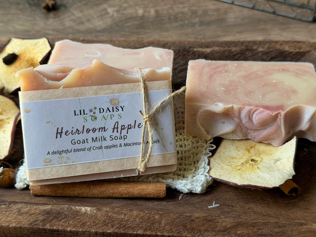 Two Lil Daisy Soaps Heirloom Apple Goat Milk Soap bars with a creamy apple scent on a wooden board.