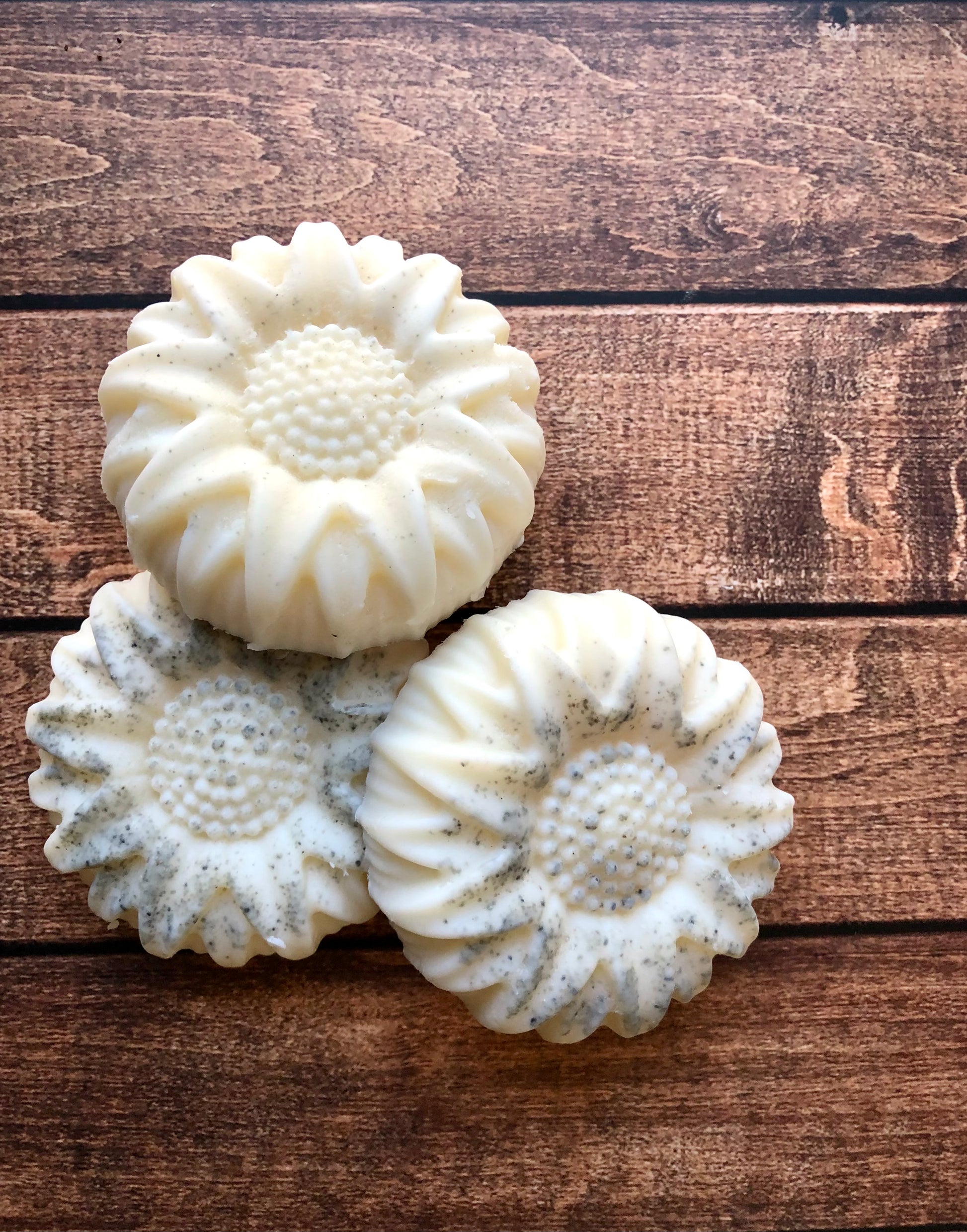 Rosemary & Mint Shampoo Bar Lil Daisy Soaps 