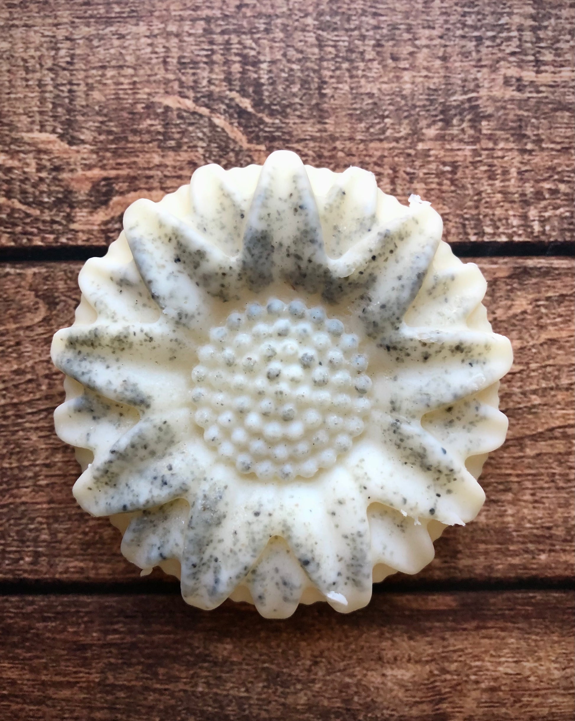 Rosemary & Mint Shampoo Bar Lil Daisy Soaps 